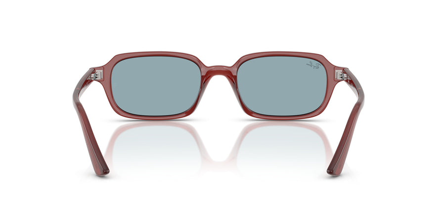 Zuri RB4455 – Brown