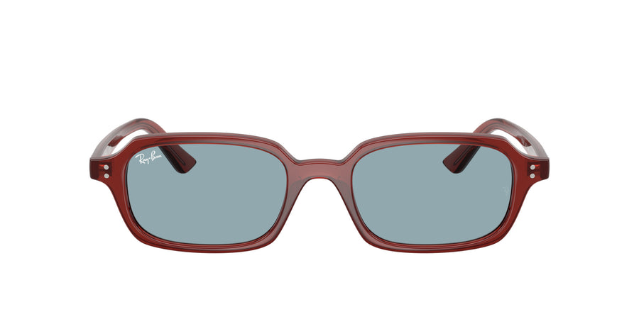Zuri RB4455 – Brown
