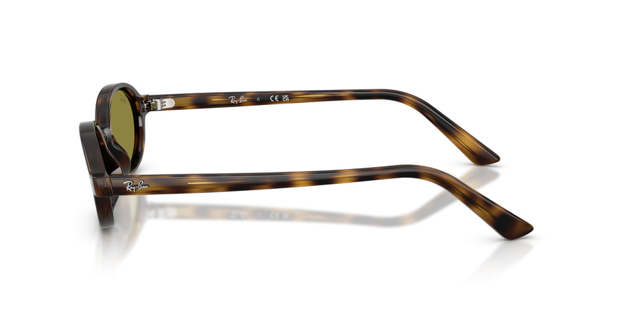 Injected Unisex Sunglass RB4472 – Havana / Green