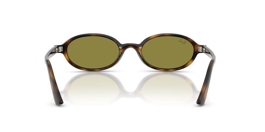 Injected Unisex Sunglass RB4472 – Havana / Green