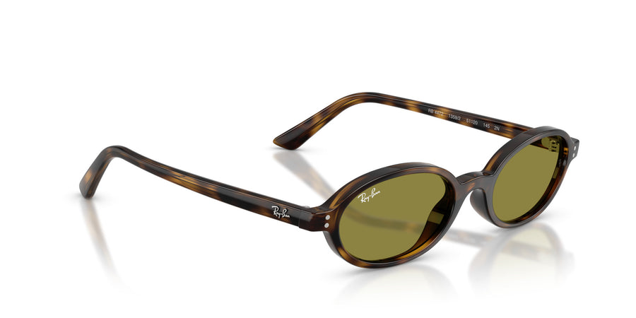 Injected Unisex Sunglass RB4472 – Havana / Green