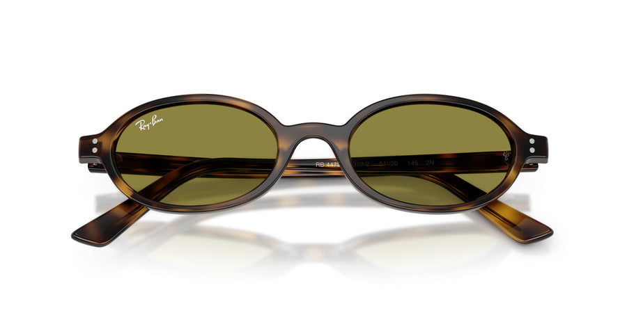 Injected Unisex Sunglass RB4472 – Havana / Green