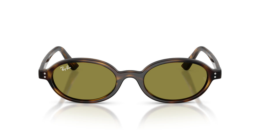 Injected Unisex Sunglass RB4472 – Havana / Green
