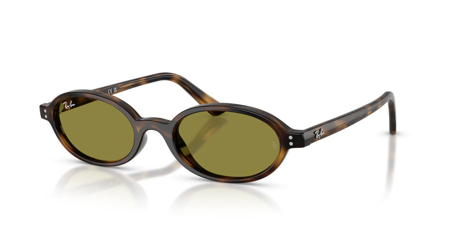 Injected Unisex Sunglass RB4472 – Havana / Green