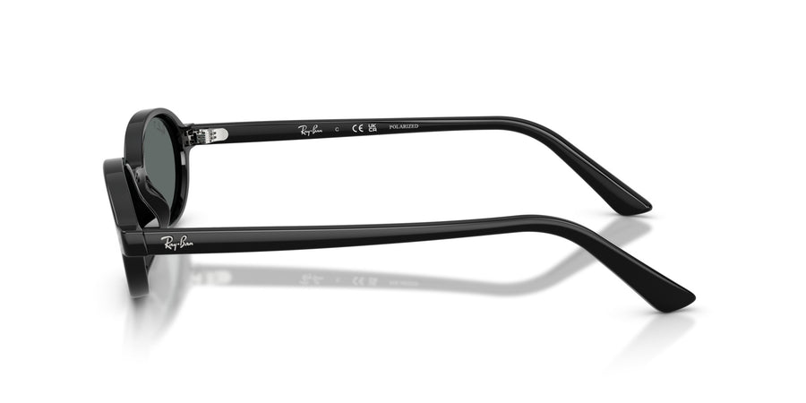 Injected Unisex Sunglass RB4472 – Black / Dark Grey Polar
