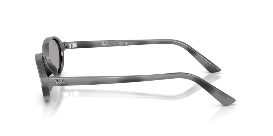 Injected Unisex Sunglass RB4472 – Havana / Blue