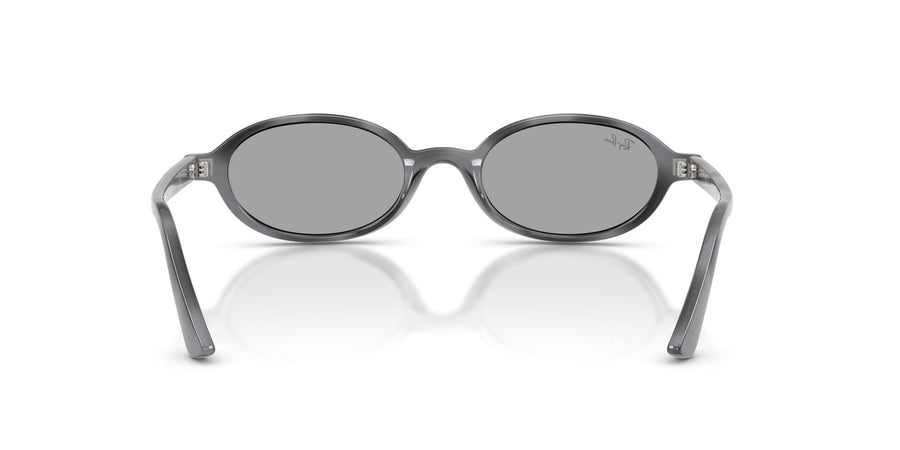 Injected Unisex Sunglass RB4472 – Havana / Blue