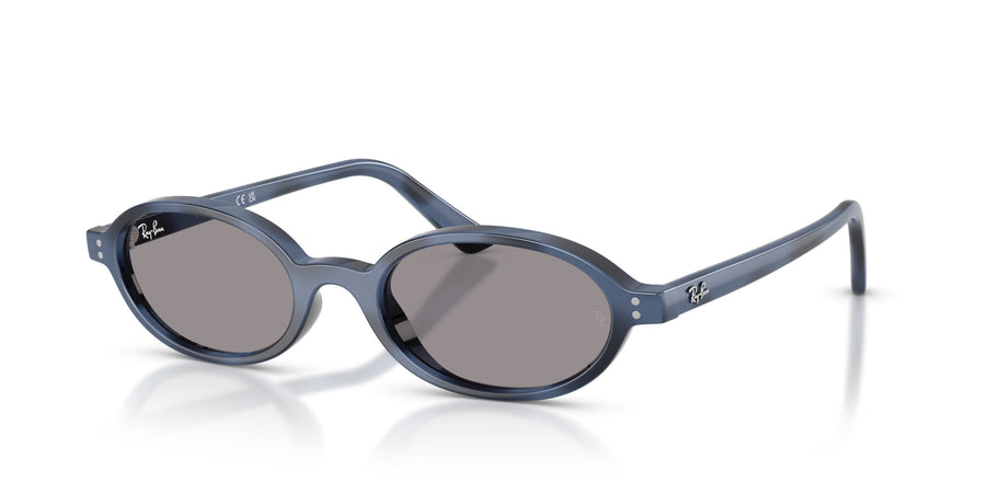 Injected Unisex Sunglass RB4472 – Havana / Grey