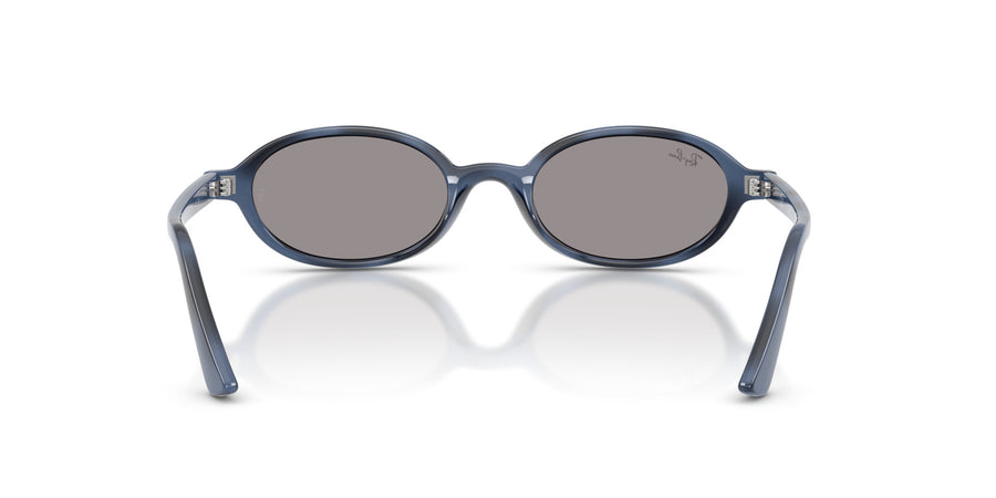 Injected Unisex Sunglass RB4472 – Havana / Grey