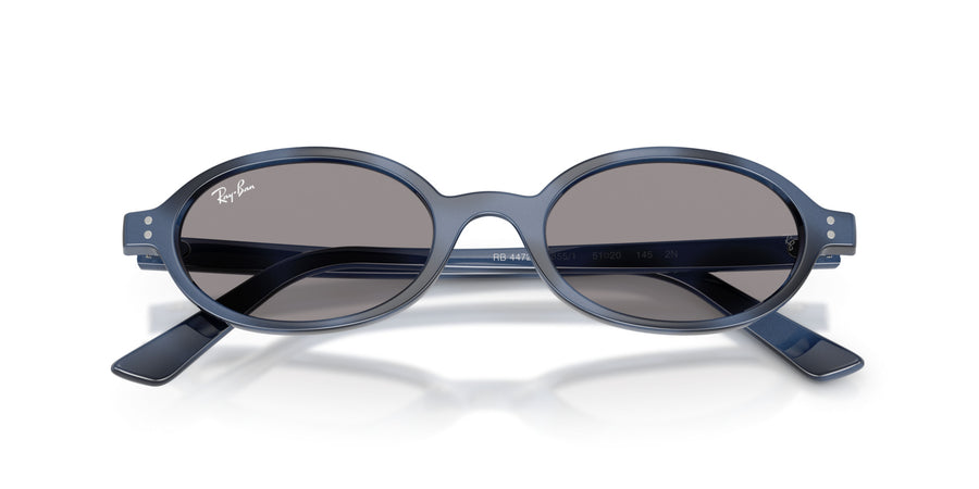 Injected Unisex Sunglass RB4472 – Havana / Grey