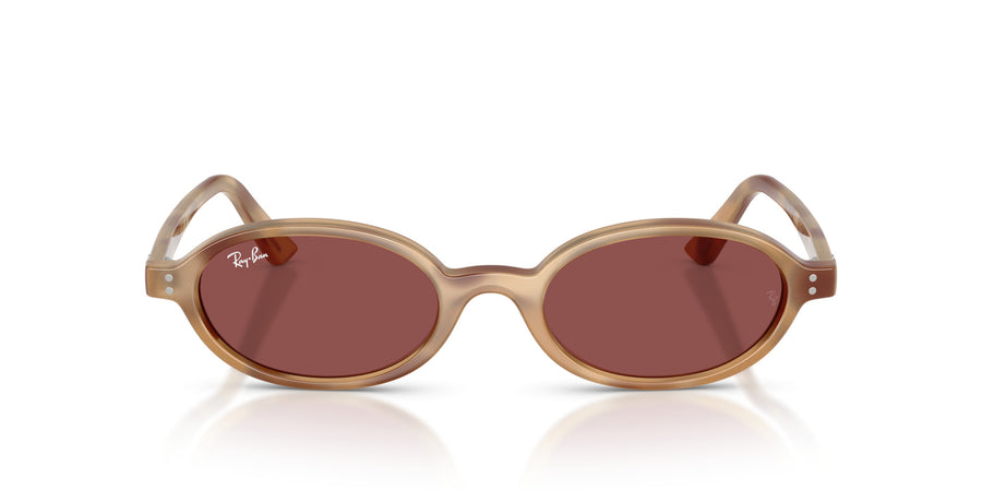Injected Unisex Sunglass RB4472 – Havana / Dark Violet