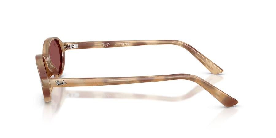Injected Unisex Sunglass RB4472 – Havana / Dark Violet