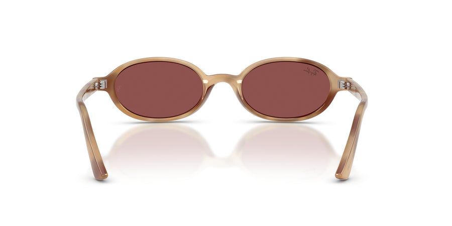 Injected Unisex Sunglass RB4472 – Havana / Dark Violet