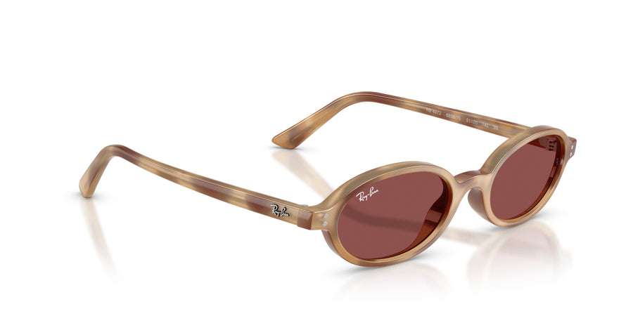 Injected Unisex Sunglass RB4472 – Havana / Dark Violet