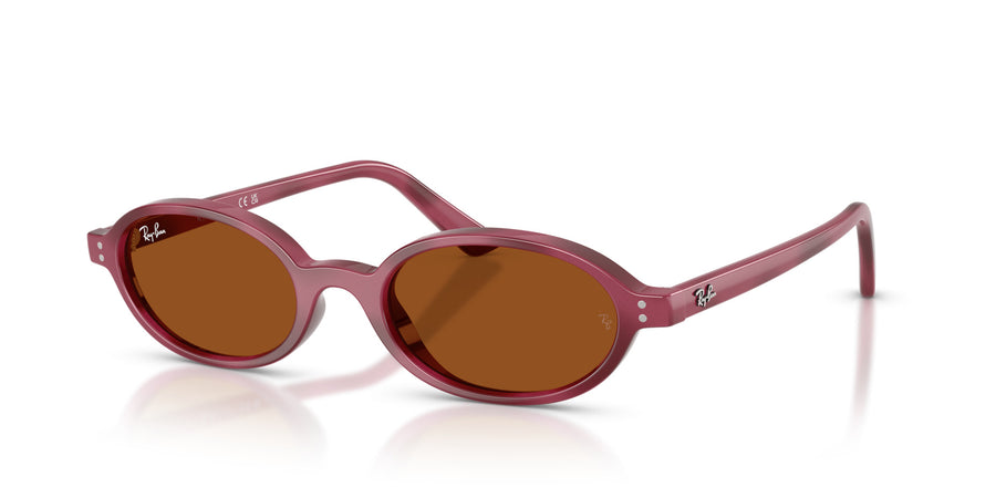 Injected Unisex Sunglass RB4472 – Havana / Dark Brown