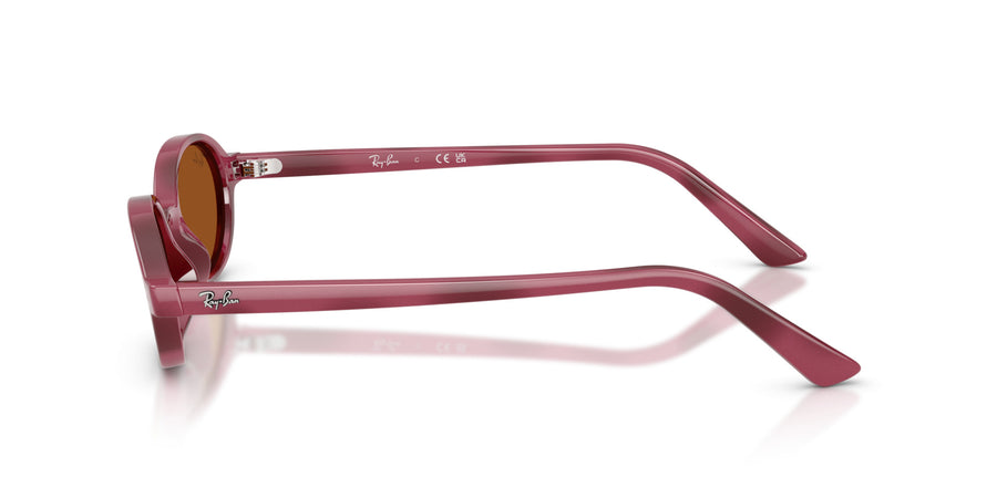 Injected Unisex Sunglass RB4472 – Havana / Dark Brown