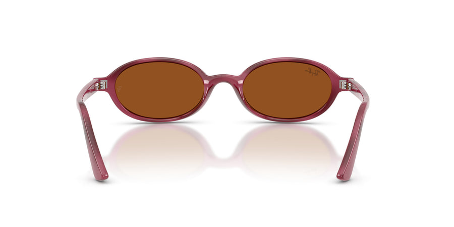 Injected Unisex Sunglass RB4472 – Havana / Dark Brown