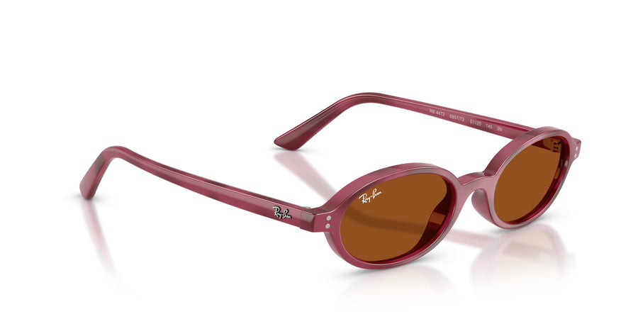 Injected Unisex Sunglass RB4472 – Havana / Dark Brown