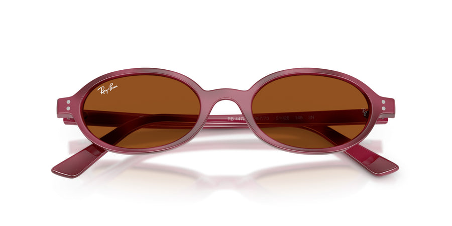 Injected Unisex Sunglass RB4472 – Havana / Dark Brown