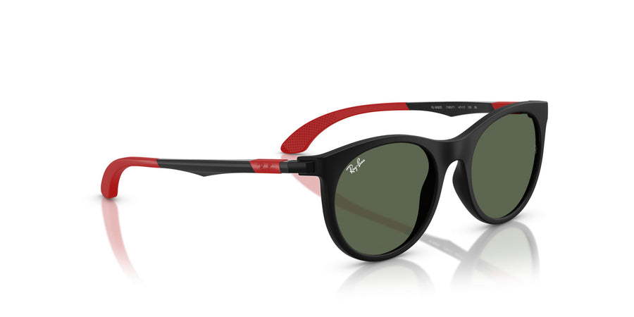 Injected Unisex Sunglass RJ9082 – Black