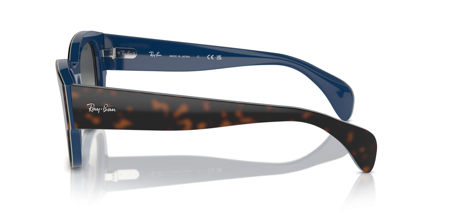 Jorge RB7681S – Havana / Grey Gradient