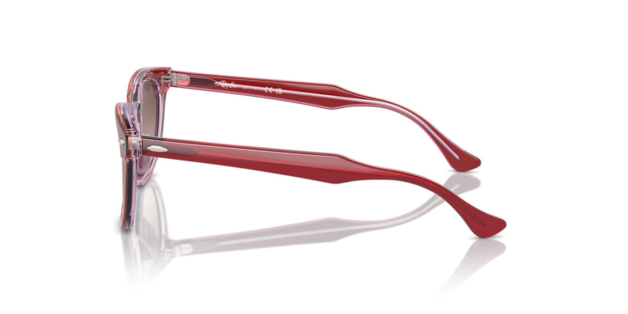 Junior Aviator RJ9098S – Red / Brown Gradient
