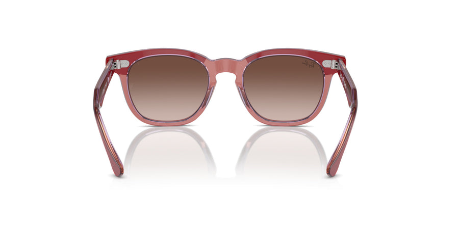 Junior Aviator RJ9098S – Red / Brown Gradient