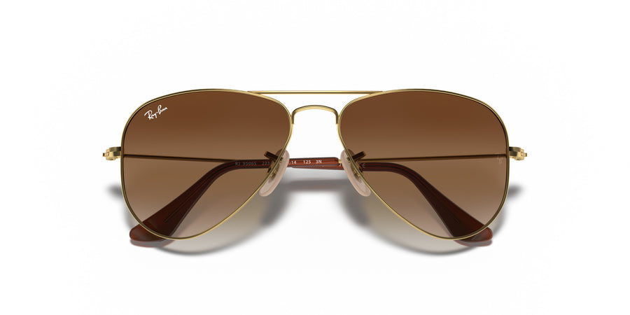 Junior Aviator RJ9506S – Gold / Brown Gradient Dark Brown