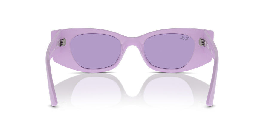 Kat RB4427 – Violet / Violet
