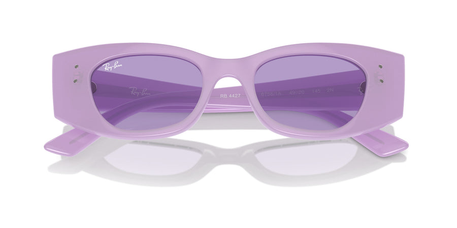 Kat RB4427 – Violet / Violet