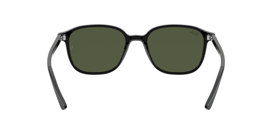 Leonard RB2193 – Black / G-15 Green
