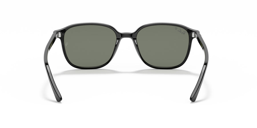 Leonard RB2193 – Black / G-15 Green