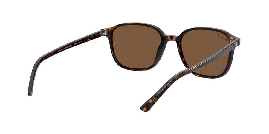 Leonard RB2193 – Tortoise / B-15 Brown