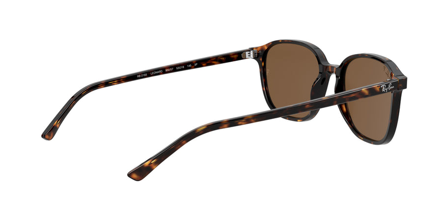 Leonard RB2193 – Tortoise / B-15 Brown