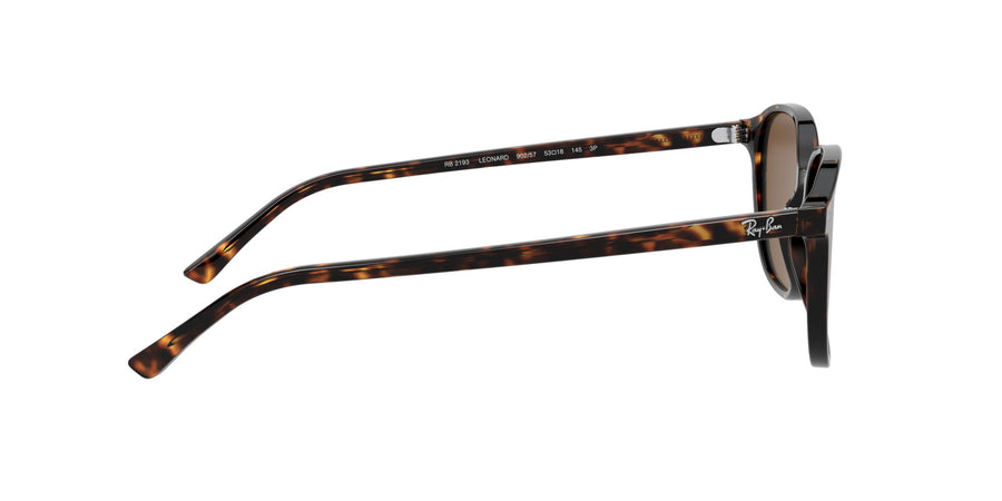 Leonard RB2193 – Tortoise / B-15 Brown