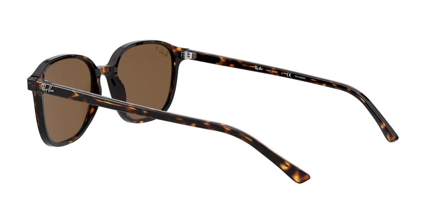 Leonard RB2193 – Tortoise / B-15 Brown