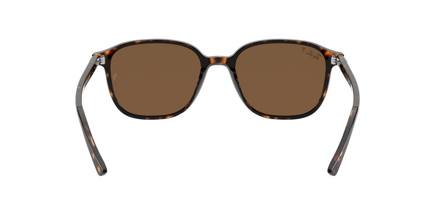 Leonard RB2193 – Tortoise / B-15 Brown
