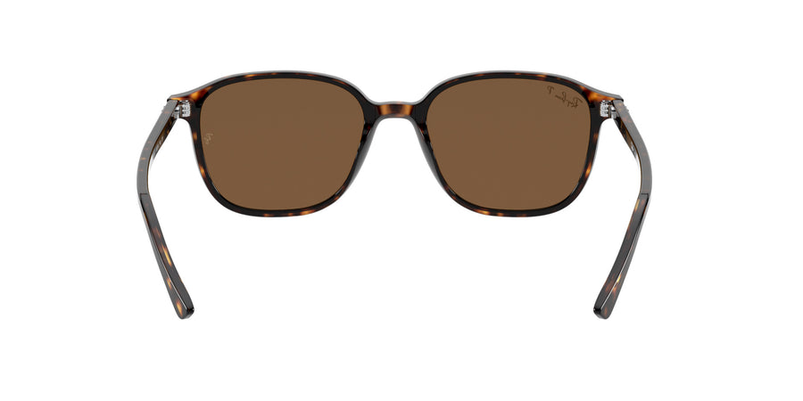 Leonard RB2193 – Tortoise / B-15 Brown
