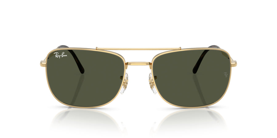 Metal Unisex Sunglass RB3755 – Gold