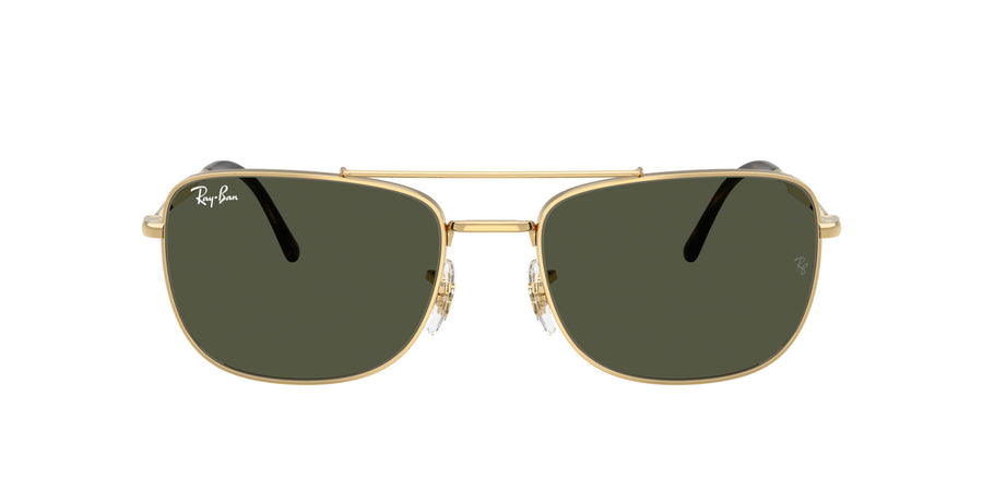 Metal Unisex Sunglass RB3755 – Gold
