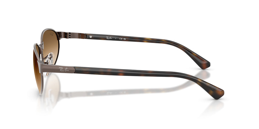 Metal Unisex Sunglass RB3777 – Clear Gradient Brown