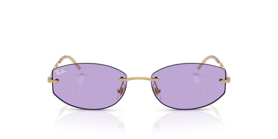Metal Unisex Sunglass RB3792 – Violet