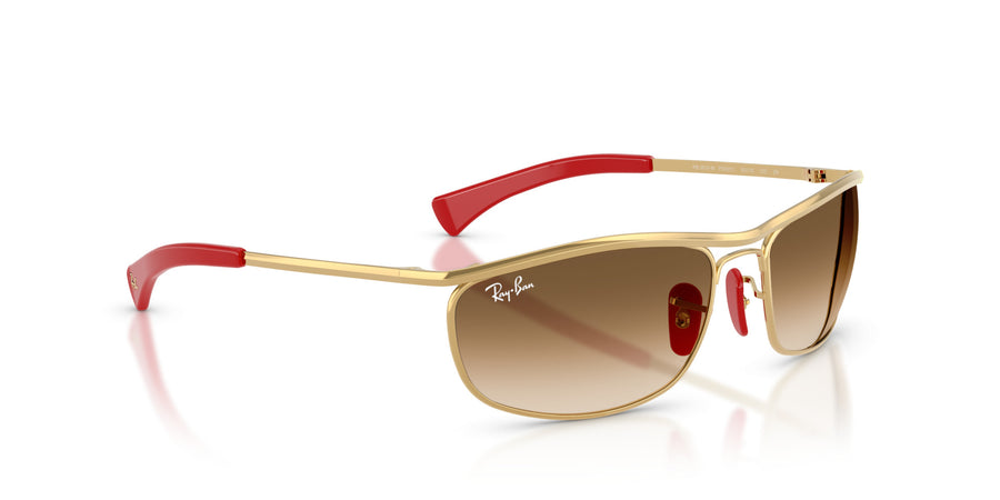 Metal Unisex Sunglass RB3819M – Gold / Clear Gradient Brown
