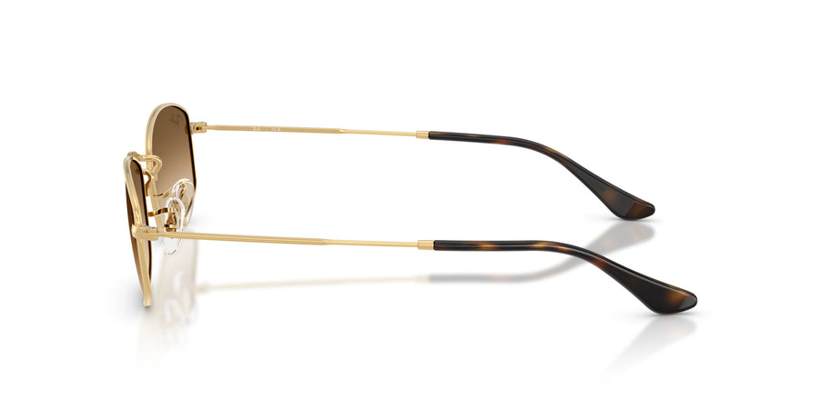 Metal Unisex Sunglass RB3832 – Gold / Clear Gradient Brown