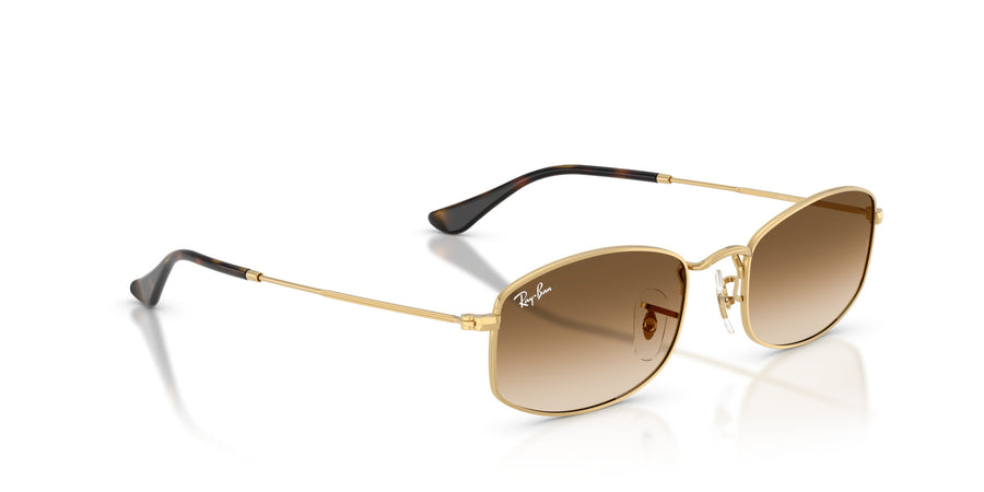 Metal Unisex Sunglass RB3832 – Gold / Clear Gradient Brown