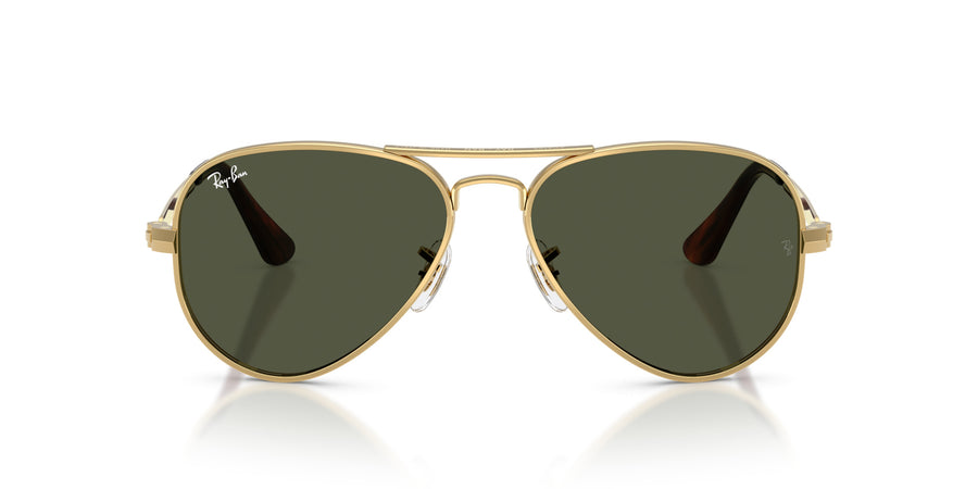 Metal Unisex Sunglass RB3925 – Gold / Green