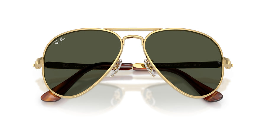 Metal Unisex Sunglass RB3925 – Gold / Green