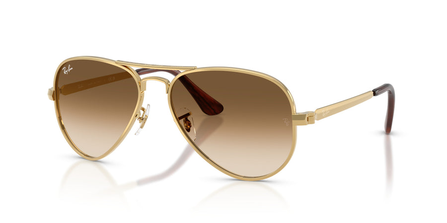 Metal Unisex Sunglass RB3925 – Gold / Clear Gradient Brown