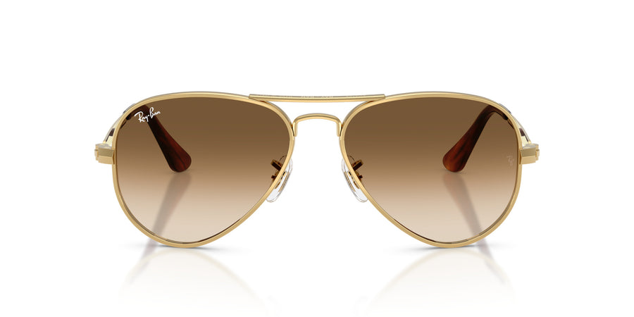 Metal Unisex Sunglass RB3925 – Gold / Clear Gradient Brown