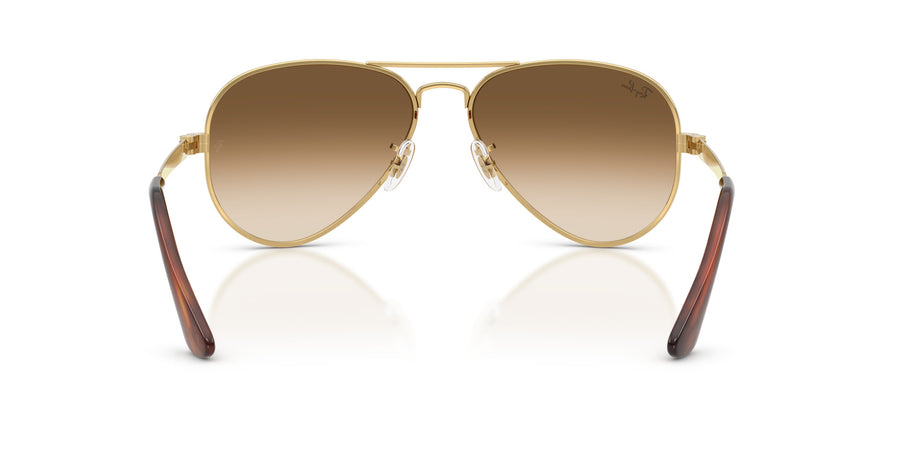 Metal Unisex Sunglass RB3925 – Gold / Clear Gradient Brown